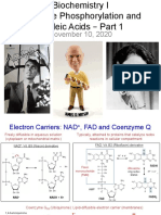 Biochem1 Fall2020 LecNov10 Posted