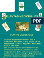 Presentación Plantas Medicinales