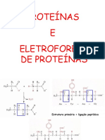 14 - Proteínas e Eletroforese das proteínas  PARTE 1