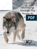 Journeying Through The Munay-Ki Preview