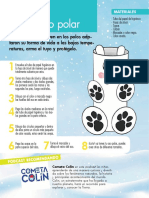 Oso Polar