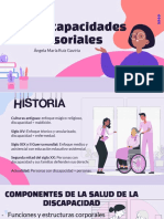 Discapacidad Sensorial