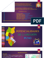 Region Puno 2015 Potencialidades