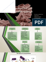 Bac Escherichia Coli