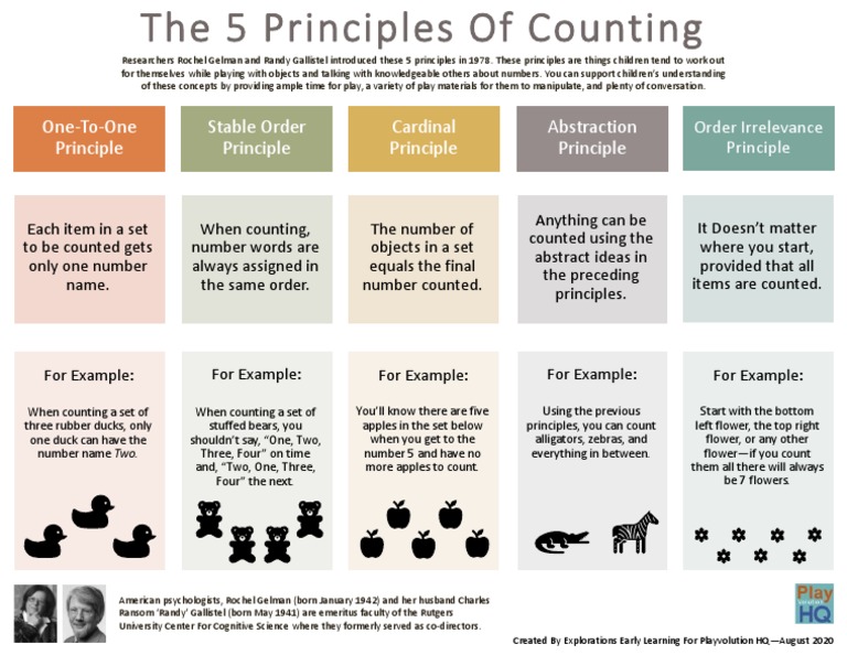 the-5-principles-of-counting-pdf-neuropsychological-assessment