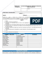 Formato Acta Comision Periodo 1-2021