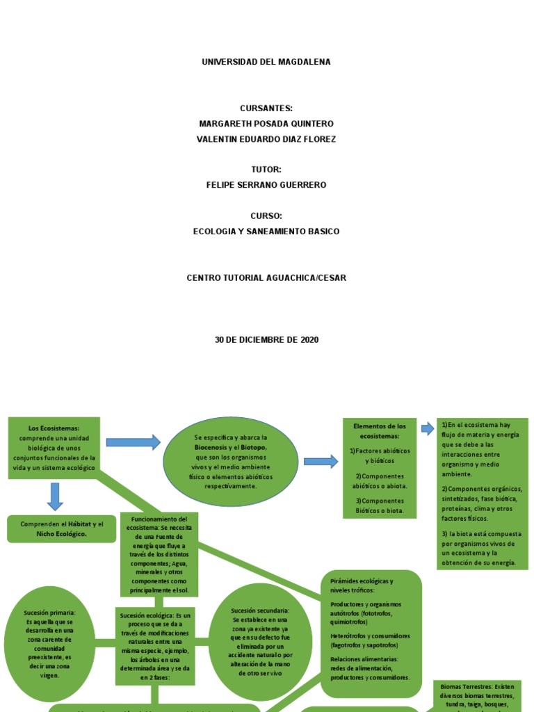 Mapa Conceptual Ecosistemas | PDF | Ecología | Ecosistema