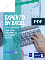 Experto en Excel (Versión Regular)