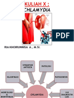 Kuliah X - Chlamydia