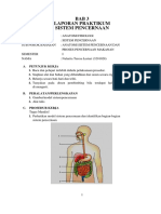Laporan AnFis Sistem Pencernaan