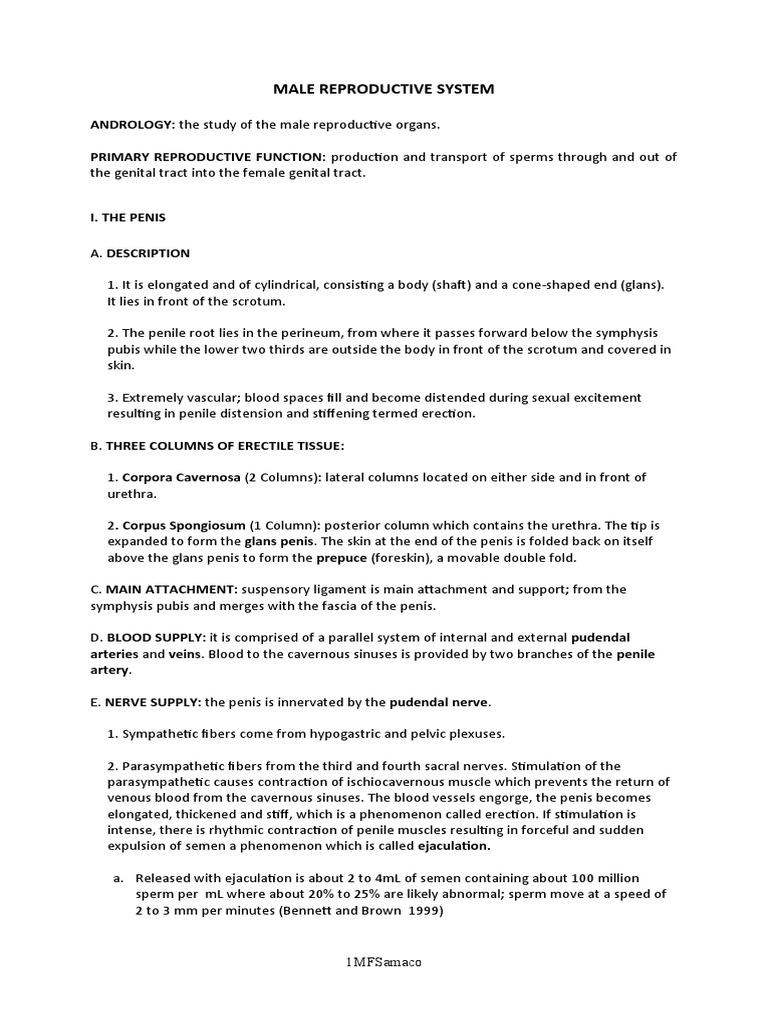 Male Reproductive Review For Nursing | PDF | Testicle | Luteinizing Hormone