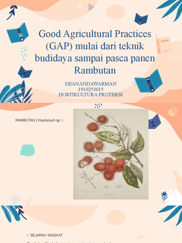 Budidaya Pohon Rambutan yang Efektif | PDF | Griya & Taman | Sains ...