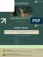 7SCIE - Food chain