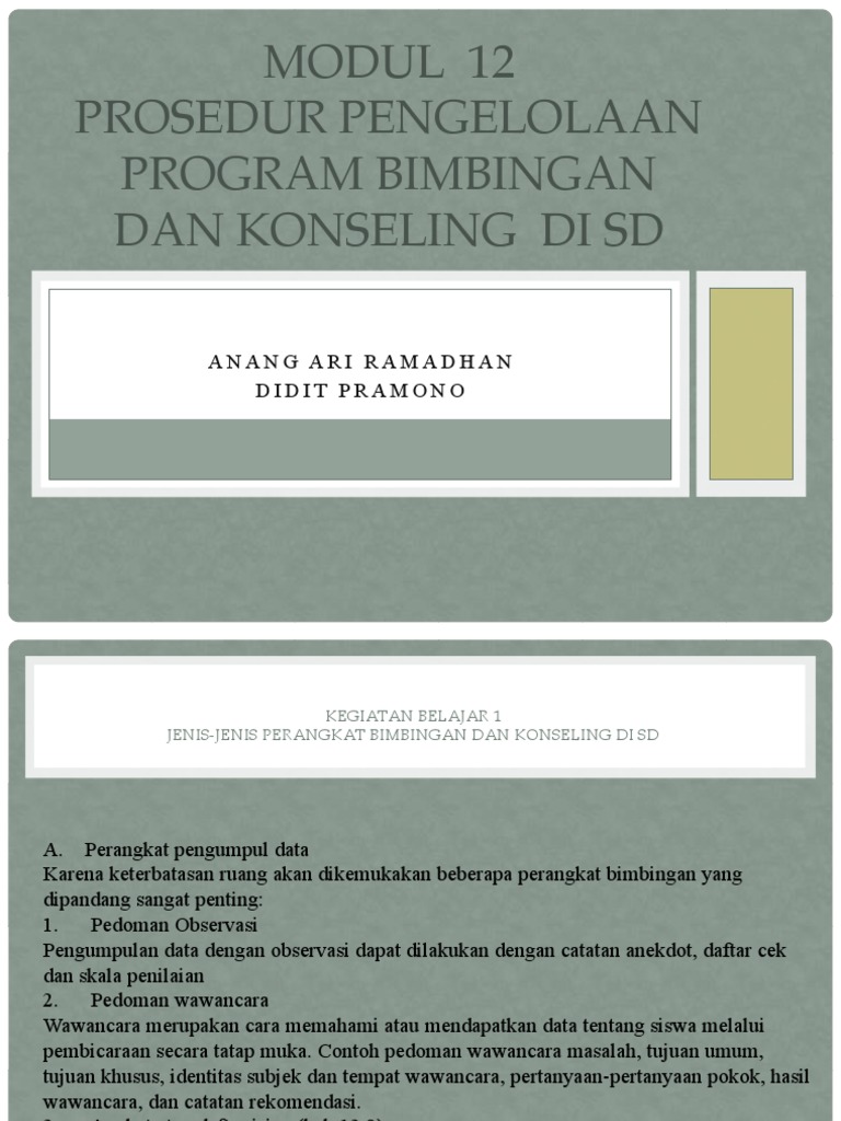 Pengelolaan Bimbingan di SD Modul 12 | PDF