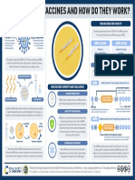 RNA Vaccines and How They Work v4