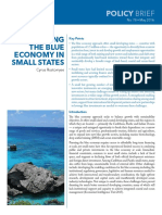 Financing The Blue Economy in Small States: Policy Brief