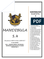 MANDIBULA 5.4 LIMFOS17