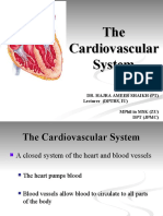 Anatomy of CVS