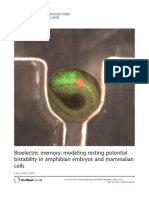 Law, R. & Levin, M. Bioelectric Memory. Modeling Resting Potential Bistability in Amphibian Embryos and Mammalian Cells