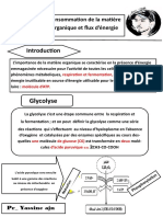 Glycolyse: Consommation de La Matière Organique Et Flux D'énergie