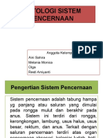 Histologi Sistem Pencernaan