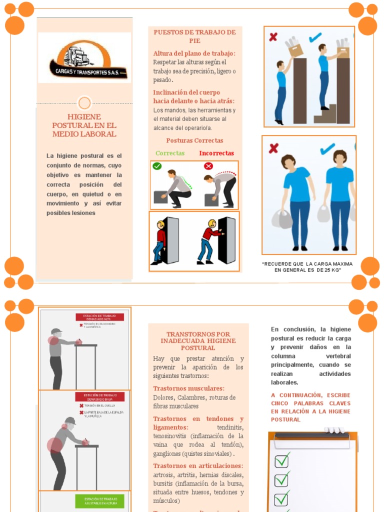 Higiene Postural en el Trabajo | PDF | Dolor lumbar | Enfermedades y ...