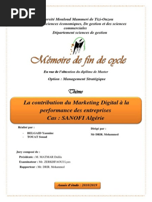 Memoire Final Pdf Marketing Numerique Commercialisation