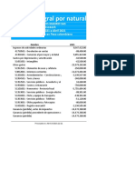 Estado de Resultado Integral Por Naturaleza de Gasto