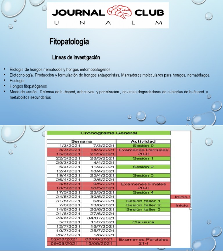 Lineas de Invest. | PDF