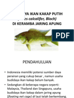 Kuliah 8 BUDIDAYA IKAN KAKAP PUTIH - 13613 - 0