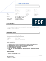 CV Summary for Sales Professional