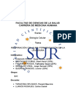 Informe N°6 Respiración Celular Fermentación de La Levadura - Ba1