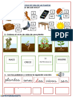 Ciclo de La Planta