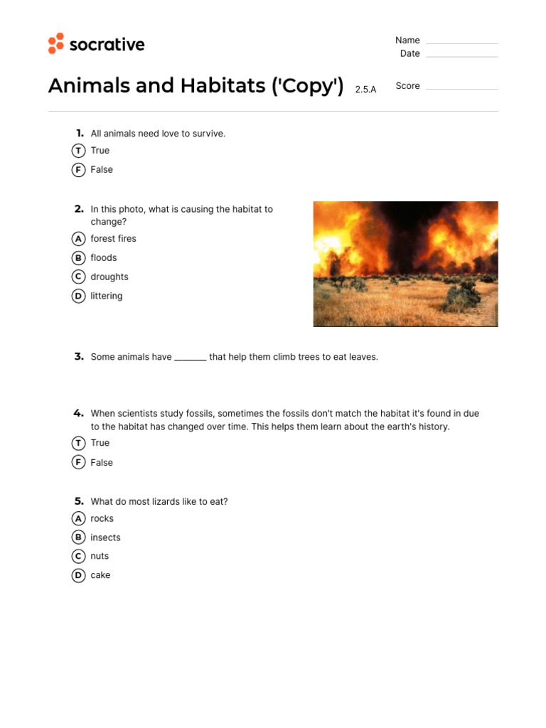 Quiz Animals and Habitats PDF