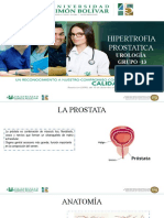 Hiperplasia prostatica urologìa FINAL