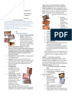 Tema 2, Exploracion Fisica Inicial, R