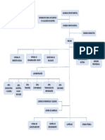 Organigrama CIP