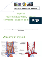 Iodine Metabolism, Thyroid Hormone Function and Disorder