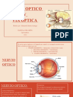 Exposicion Nervio Optico y Visa Visual (Clinica Del Niño)