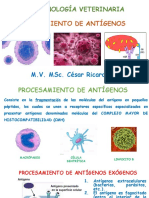 Procesamiento de antígenos en inmunología veterinaria