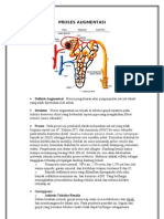 Proses Augmentasi