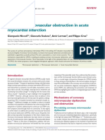 Coronary Microvascular Obstruction in Acute Myocardial Infarction