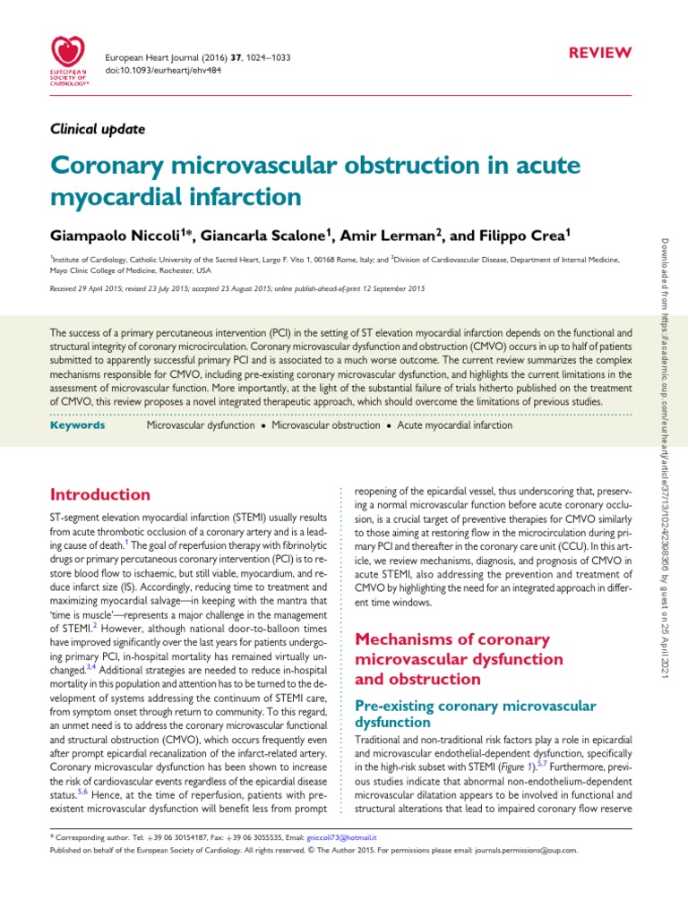 Coronary Microvascular Obstruction in Acute Myocardial Infarction | PDF ...