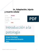 Adaptacion Injuria y Muerte Celular