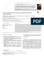 Disorders of Flavin Adenine Dinucleotide Metabolism