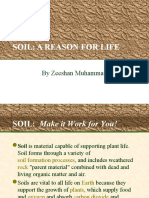 Zeeshan Soil Presentation - Soil