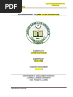 Project Report Format