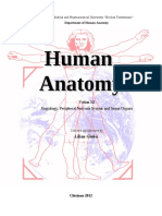 Human Human Anatomy Anatomy Volum III An