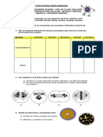 Guia Sobre Mitosis y Meiosis 