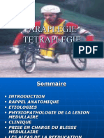 Paraplegie Tetraplegie Td Dr Blel Mpr